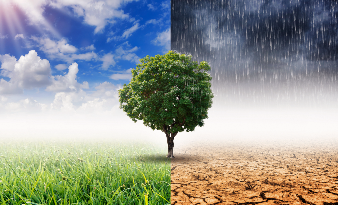 Climate variability may not be strongly linked to human evolution