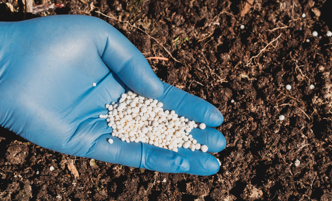 Earth has too much and too little nitrogen at the same time