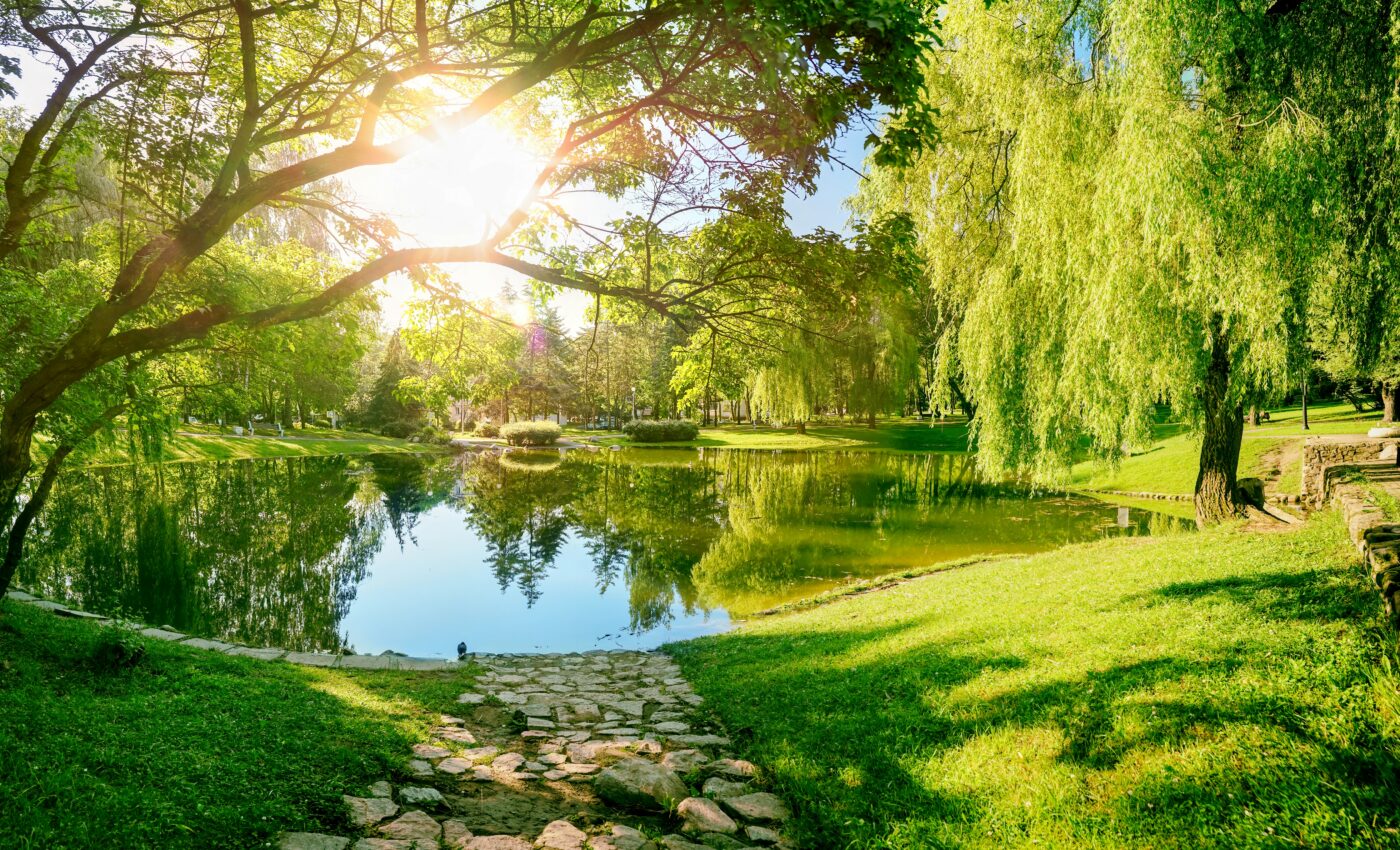 Spending time in nature improves physical and mental health