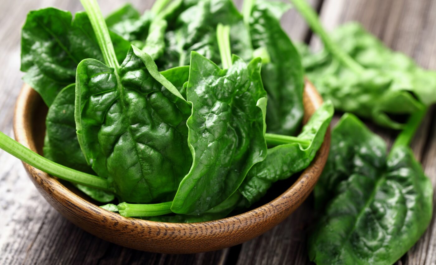 Organic vegetables often harbor human pathogens