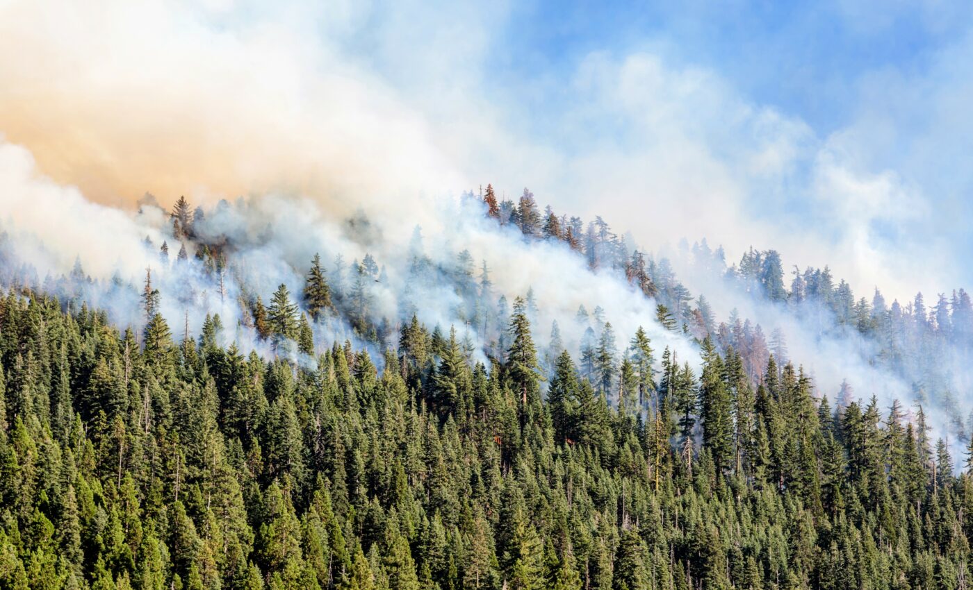 Earth endured rapid global warming 300 million years ago