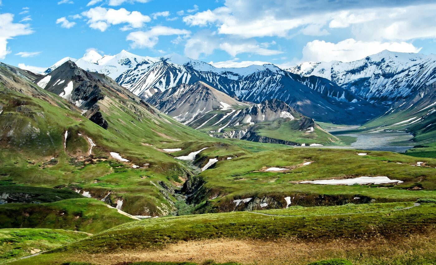 In Alaska, dinosaurs lived where rainfall was optimal