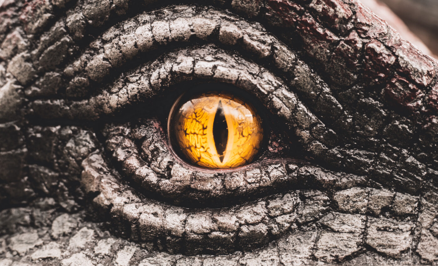 Experts describe a 225-million-year old reptile discovered in Brazil