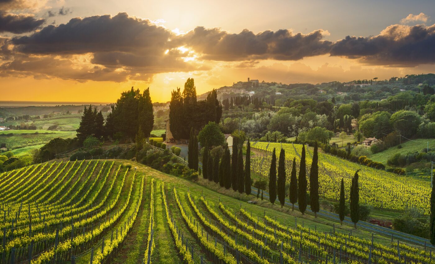 European farmland is a huge reservoir of microplastics