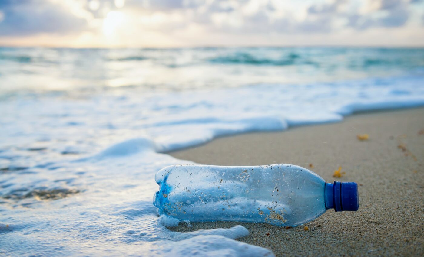 New Yorkers are ready to take control of single use plastics