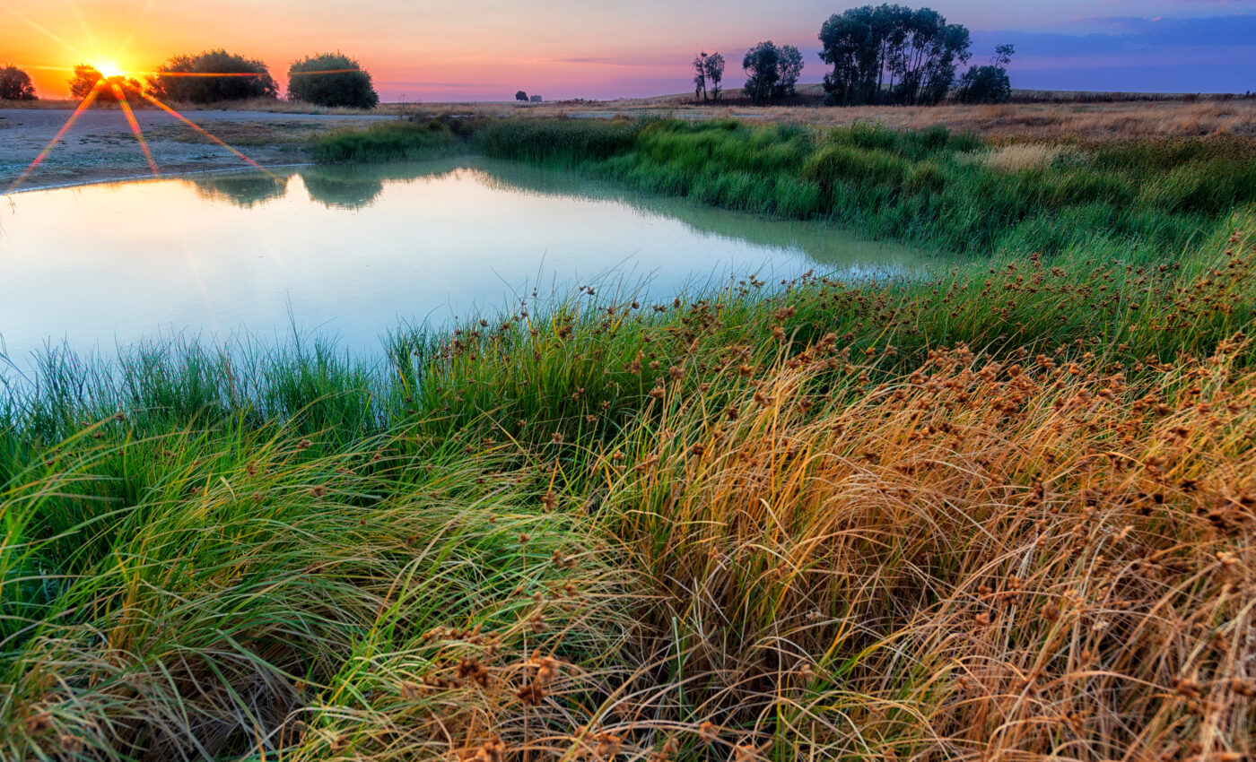 Wetlands are caught in a battle between CO2 and rising seas