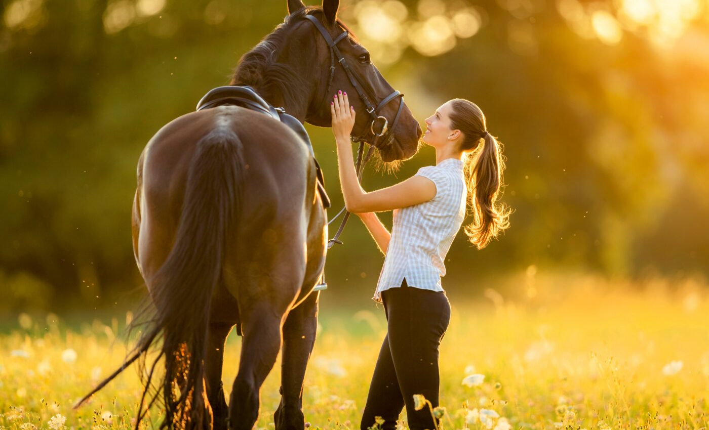 Animals are affected by the emotions in human voices