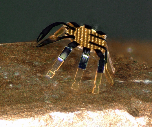 Tiny crab robot is smaller than a flea