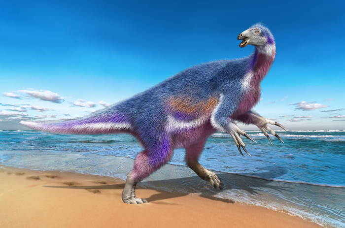 New dinosaur species distinguished by its fearsome claws