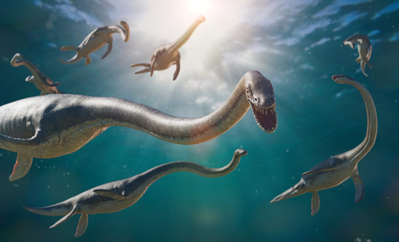 How did the plesiosaurs swim?
