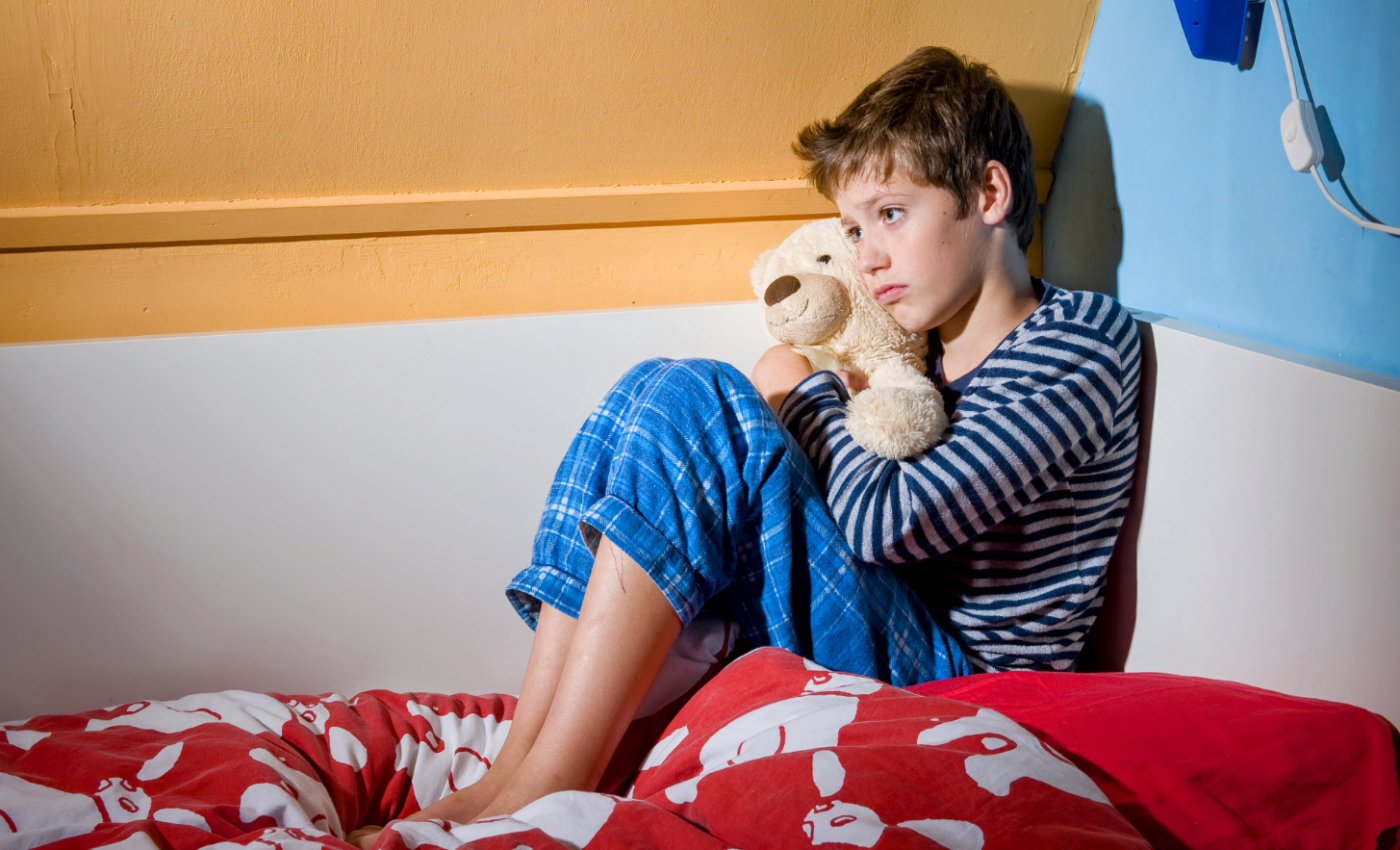 How memories of fear are seared into our brains