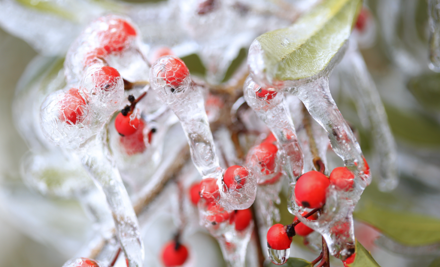 Air pollution increases freezing rain in the Northern Hemisphere