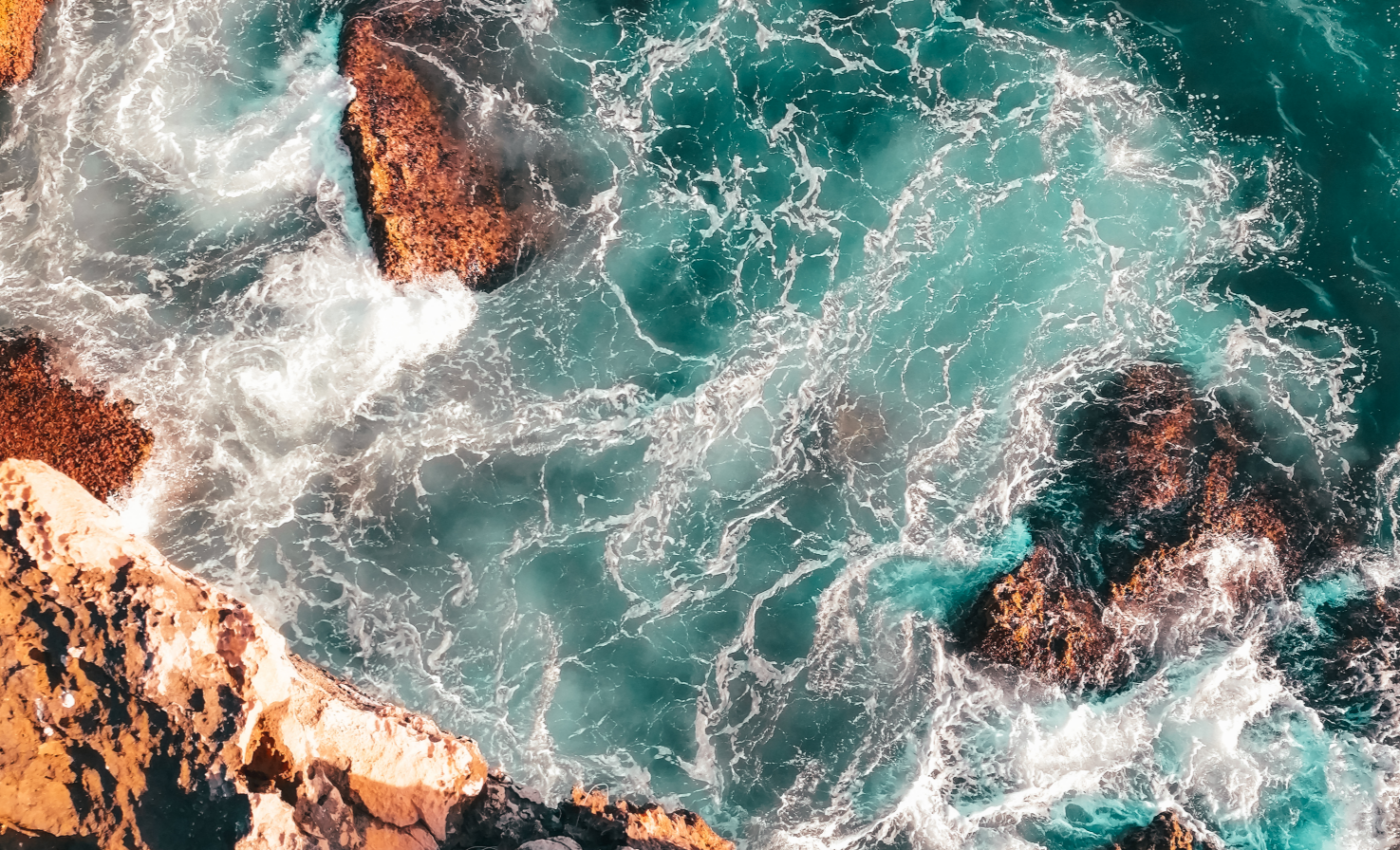 World Ocean Day: Take action to protect and restore nature