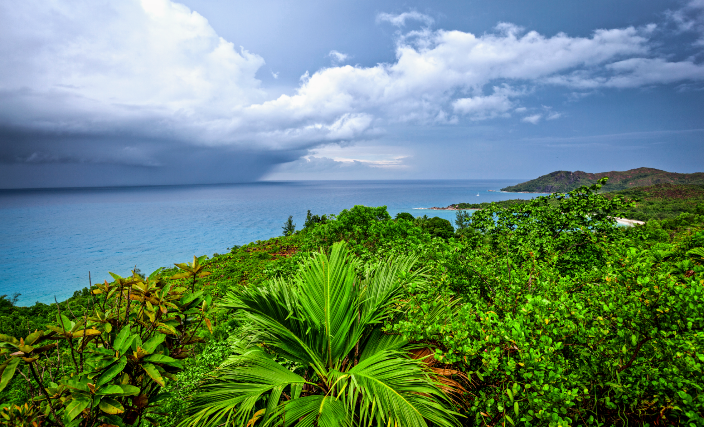 Tropical thunderstorms trigger extreme cold events in China