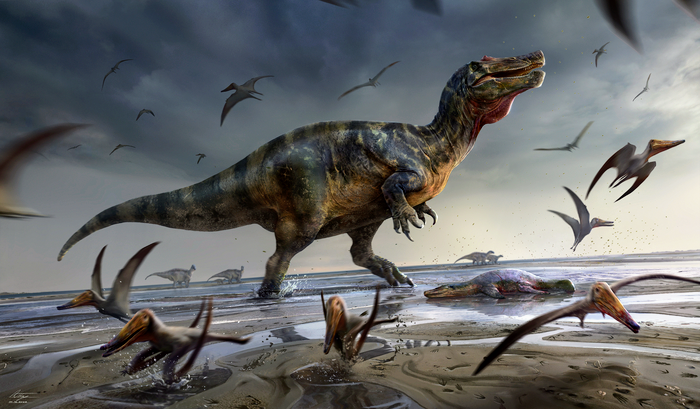 Study reveals Europe’s largest predatory dinosaur