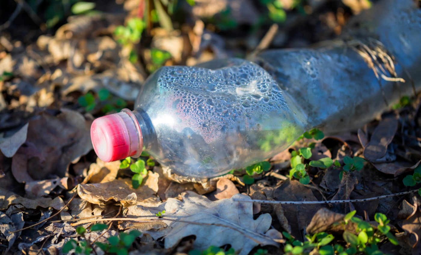 Superworms capable of eating through plastic waste