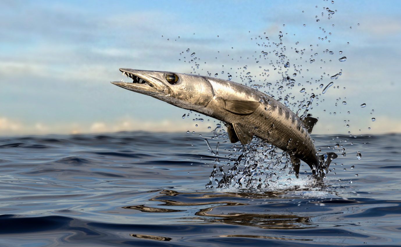 Robots reveal how fish hunt down unpredictable prey