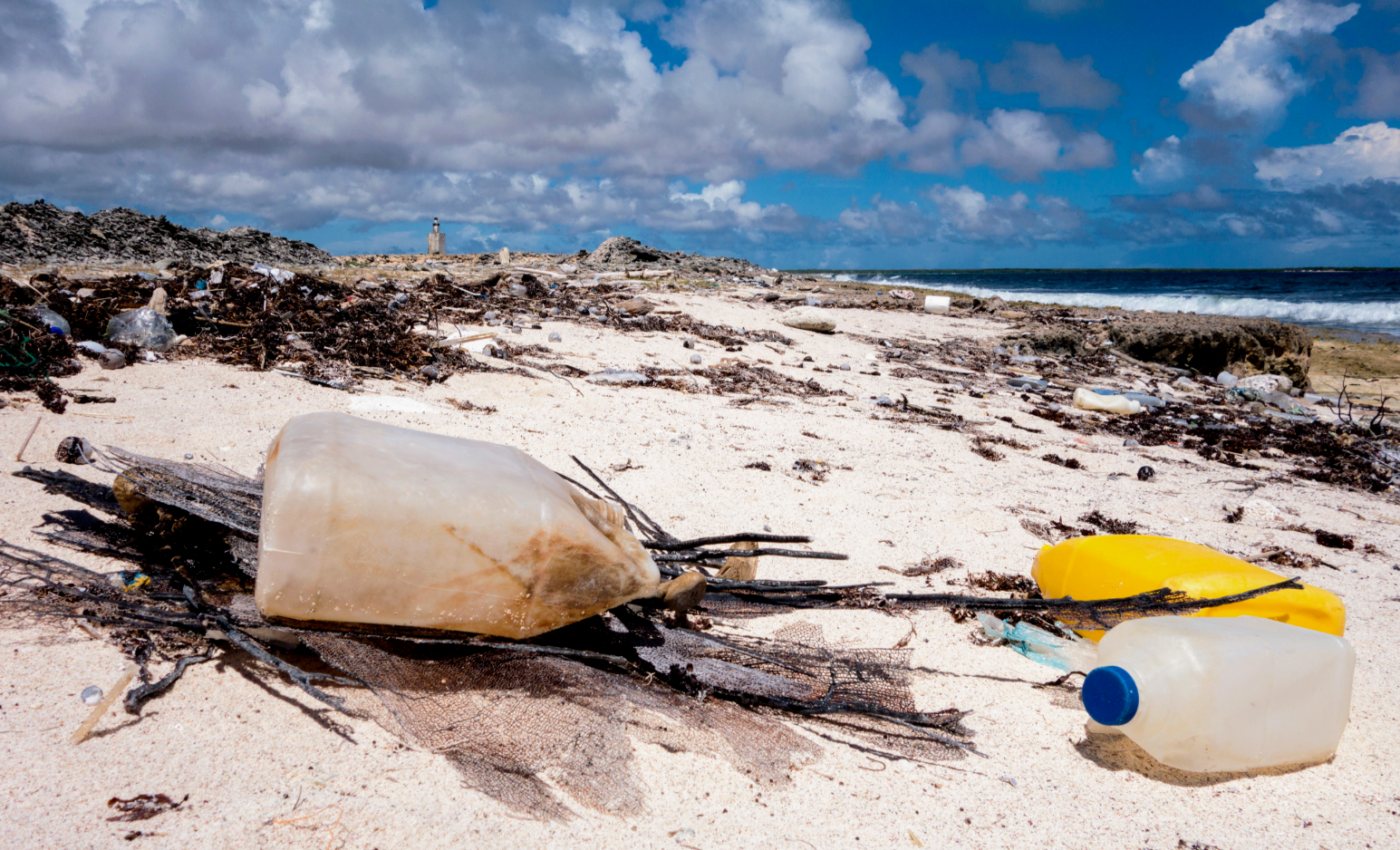 Plastic debris in the ocean may produce useful antibiotics