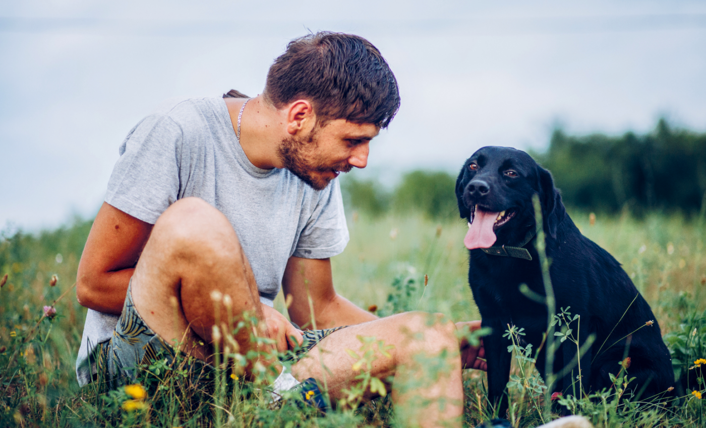 Dogs are like surrogate children to their owners