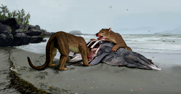 Extinct "bear dog" found in the Pyrenees