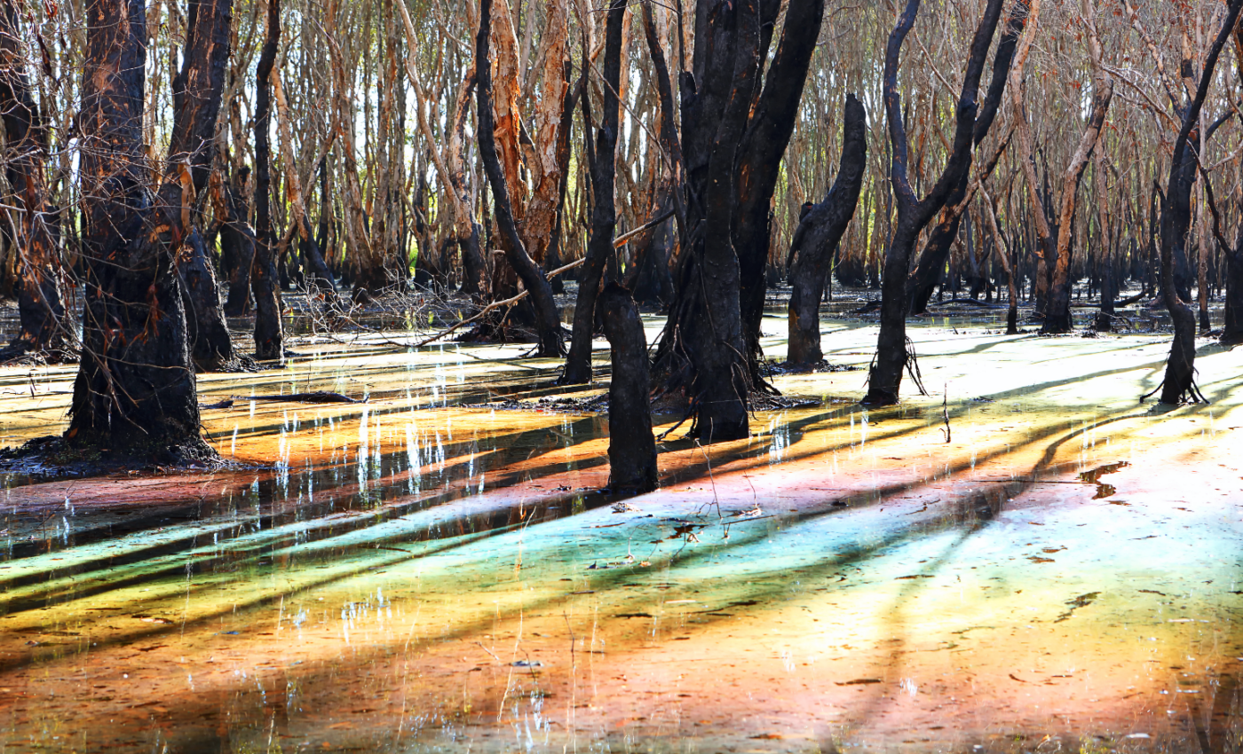 Majority of the world’s oil slicks caused by human activity