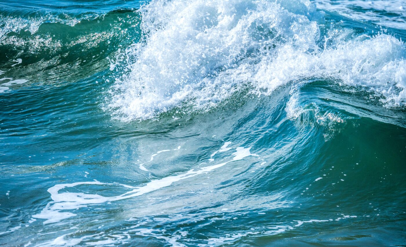 Marine organisms are a rich source of natural products