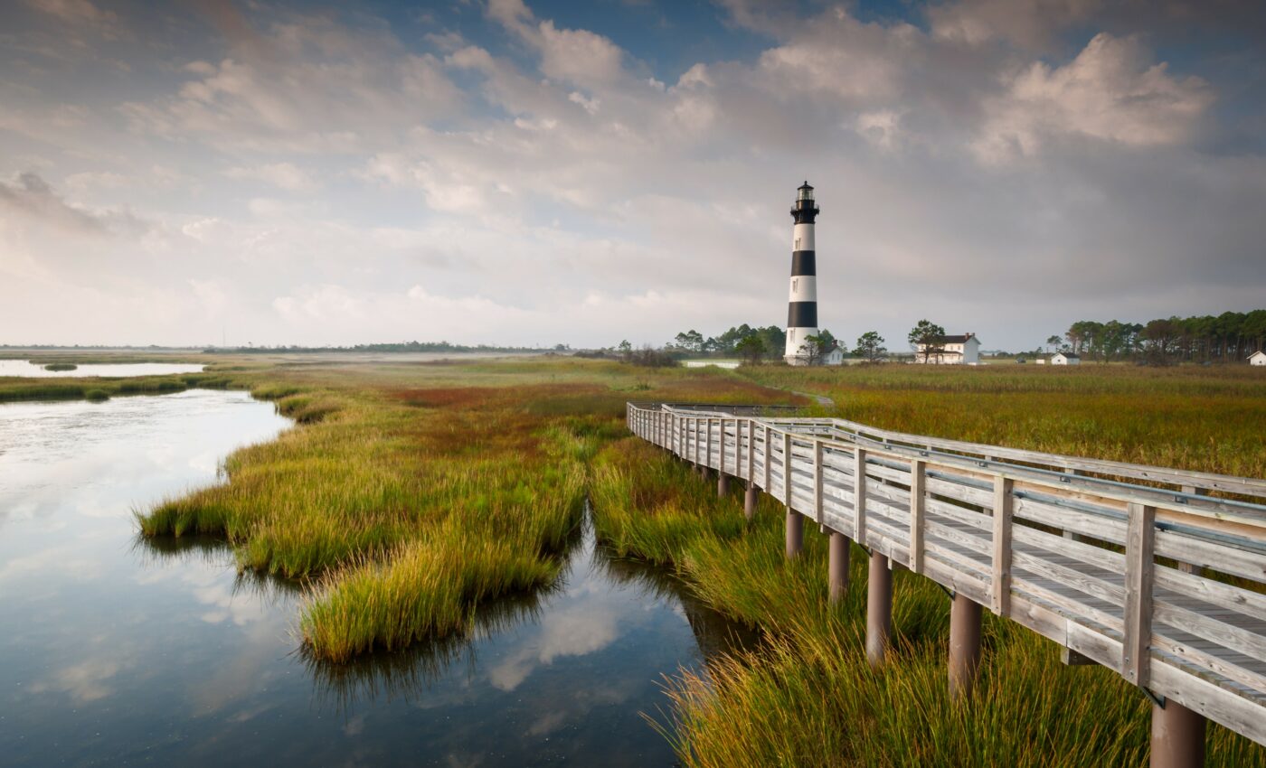 Marshes may soon flip from carbon sinks to carbon sources