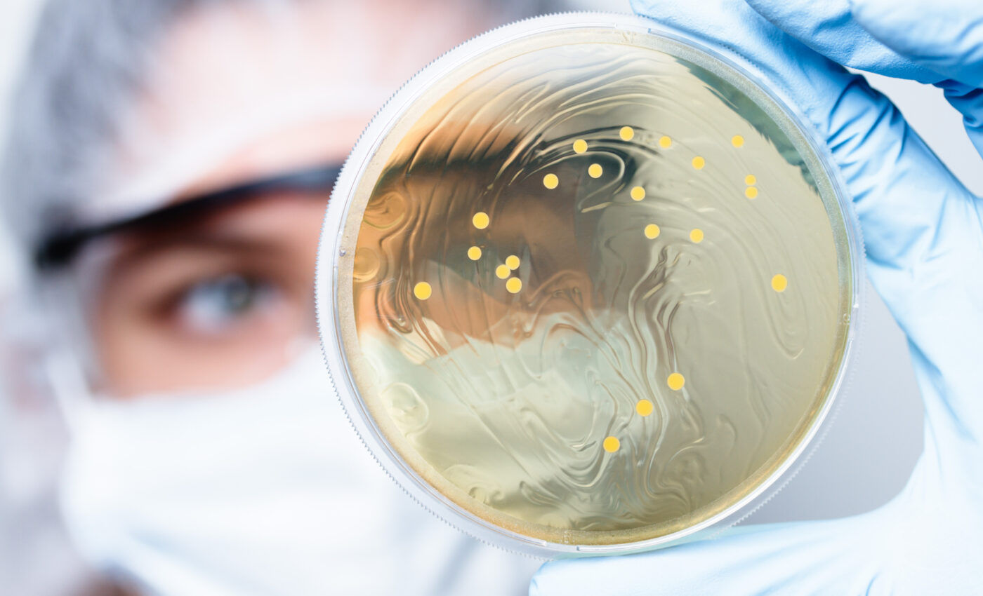 The world’s largest bacterium discovered in the Caribbean