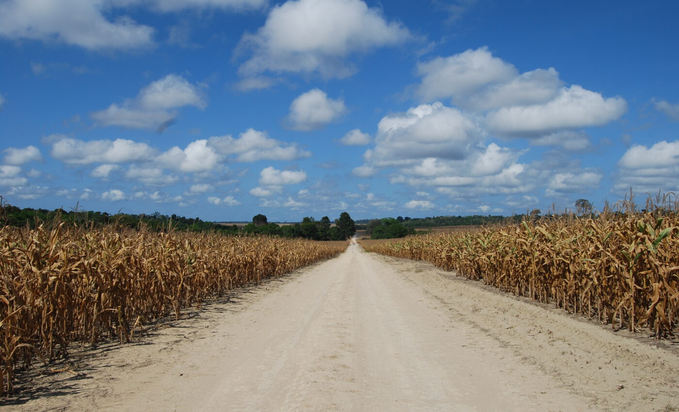 Land-use changes expose the Amazon to environmental threats