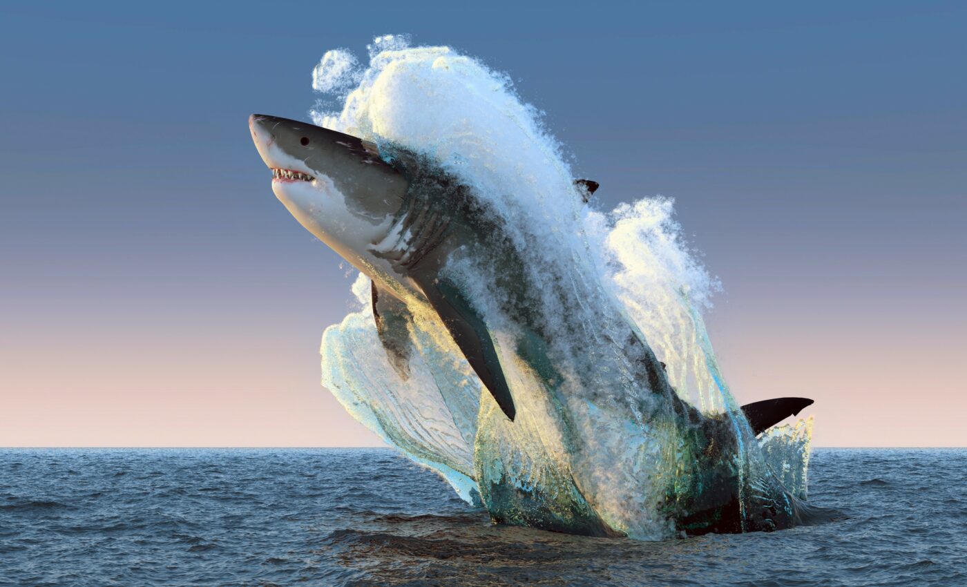 World’s fastest shark spotted near Barcelona