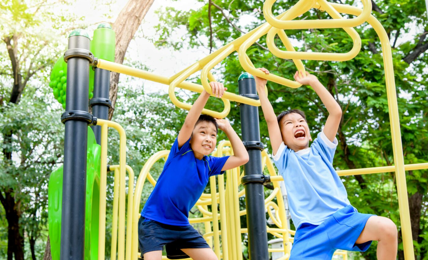 Plants on playgrounds help protect children from air pollution