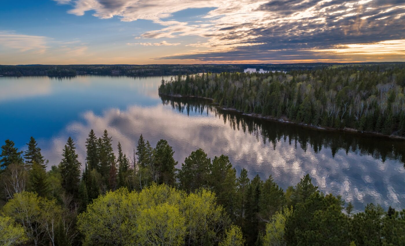 Northern forests are being transformed by global warming
