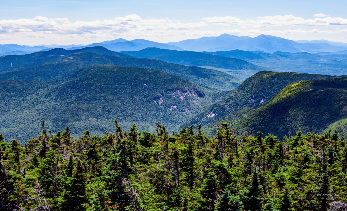 Experts are using AI to monitor forests in Maine