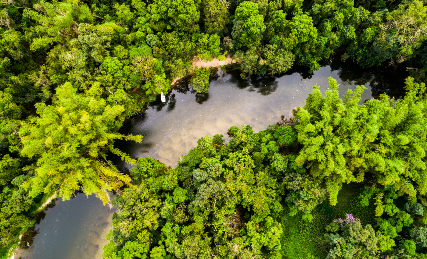 The Congo Basin could release billions of tons of carbon