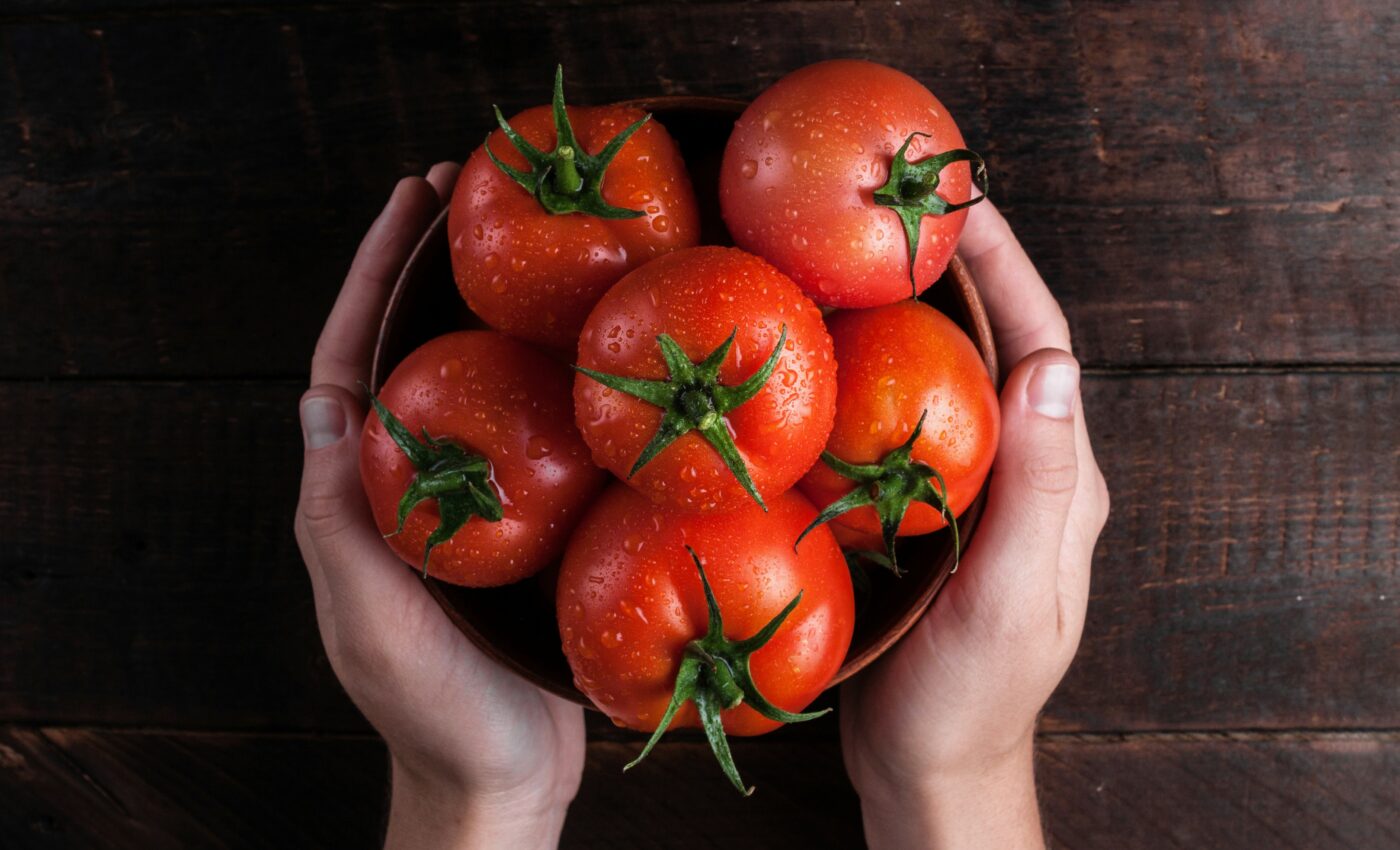 Tomatoes improve the health of the gut microbiome
