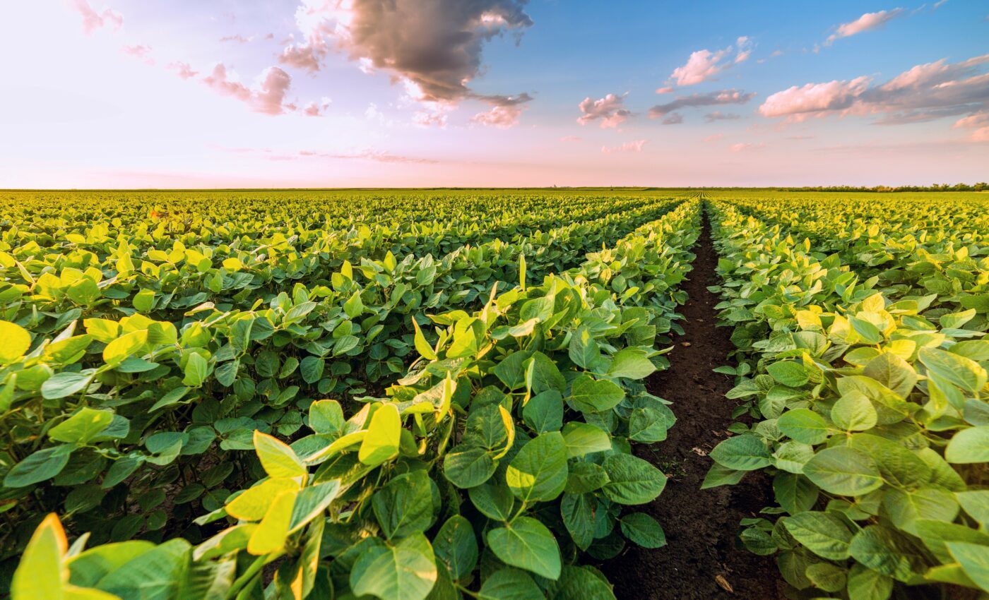 Developing climate-smart agricultural practices