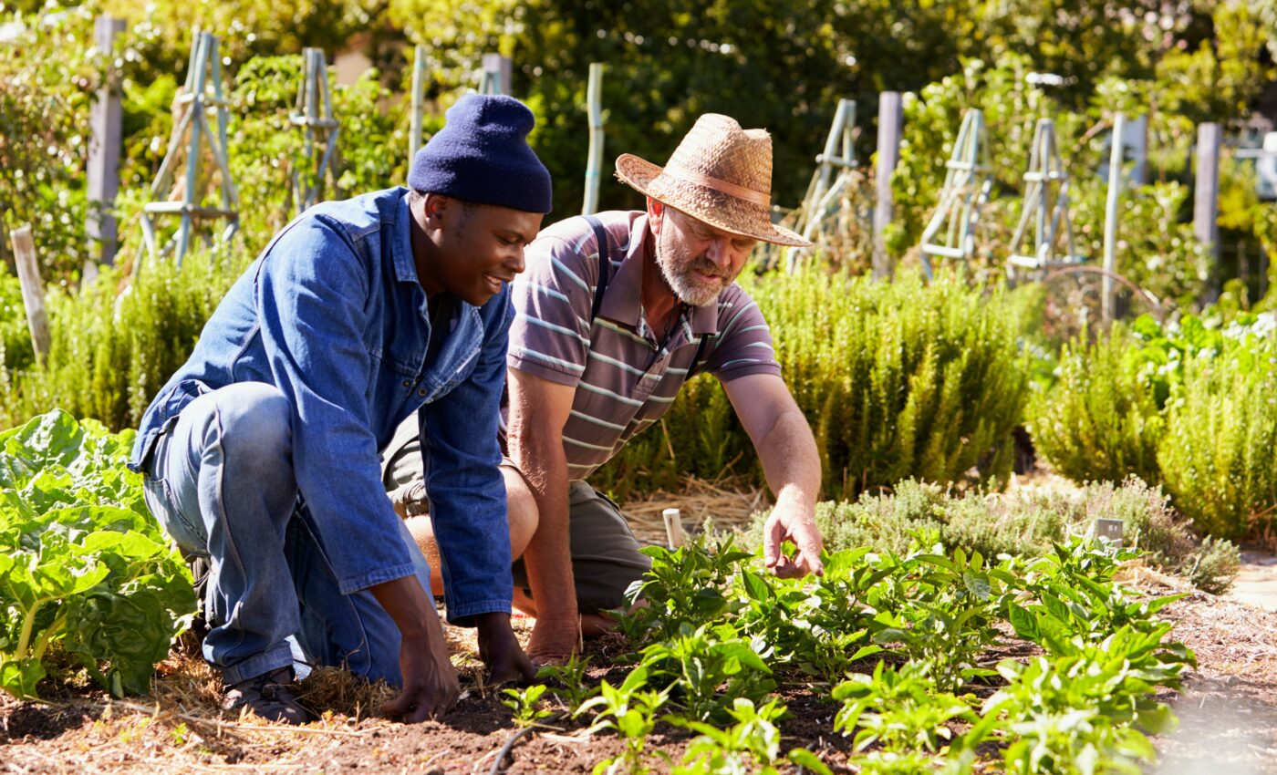 Gardening is beneficial for physical and mental health