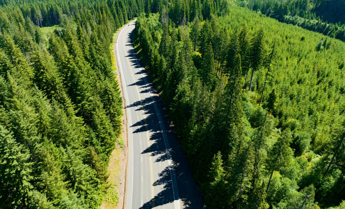 Douglas-fir trees will suffer from drier air