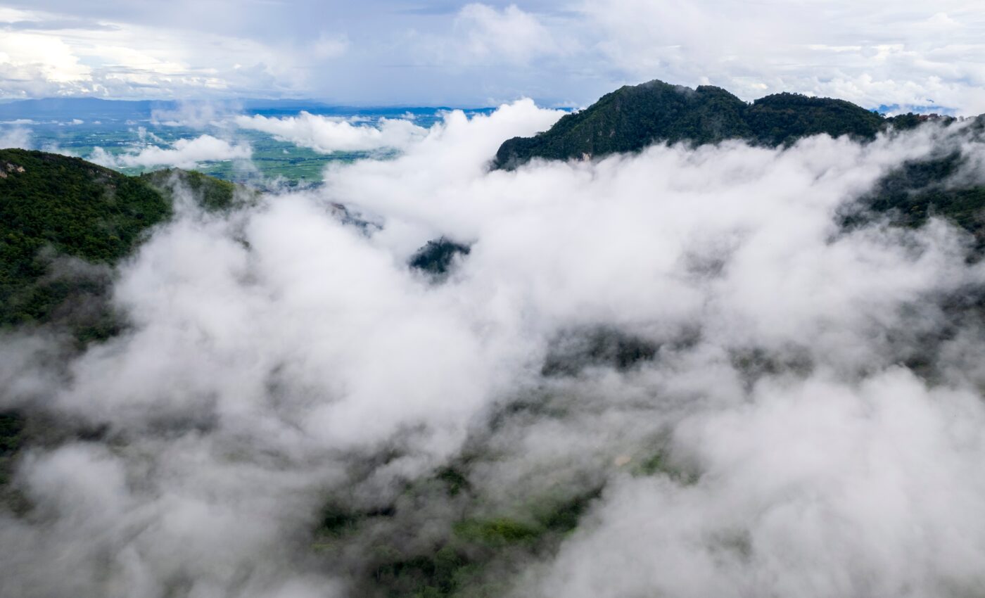 Storms are a major source of forest mortality in the Amazon