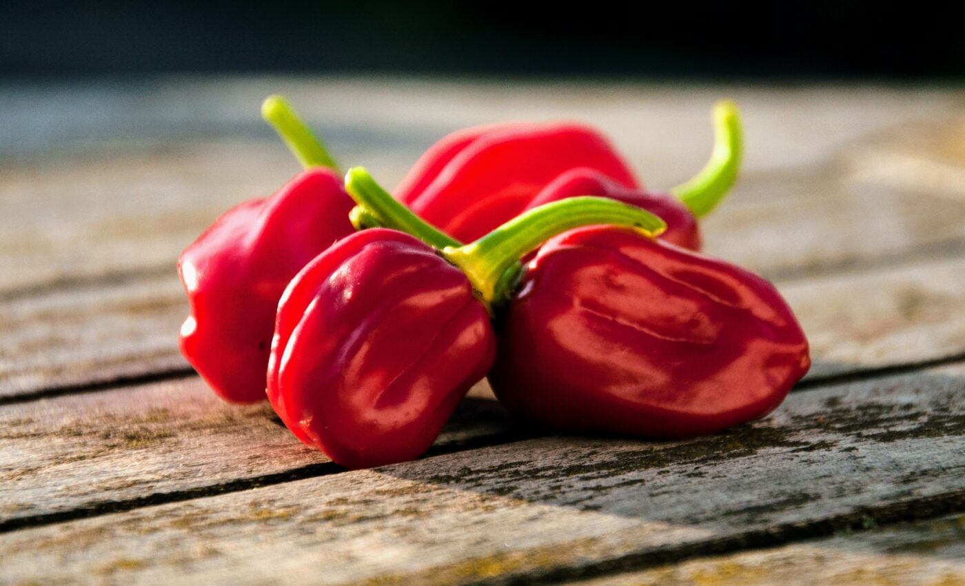 How do habaneros respond to environmental stress?