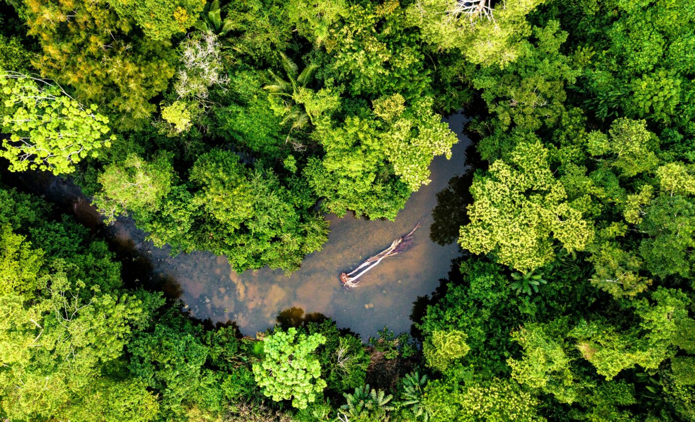 Humans are destroying what's left of the Amazon