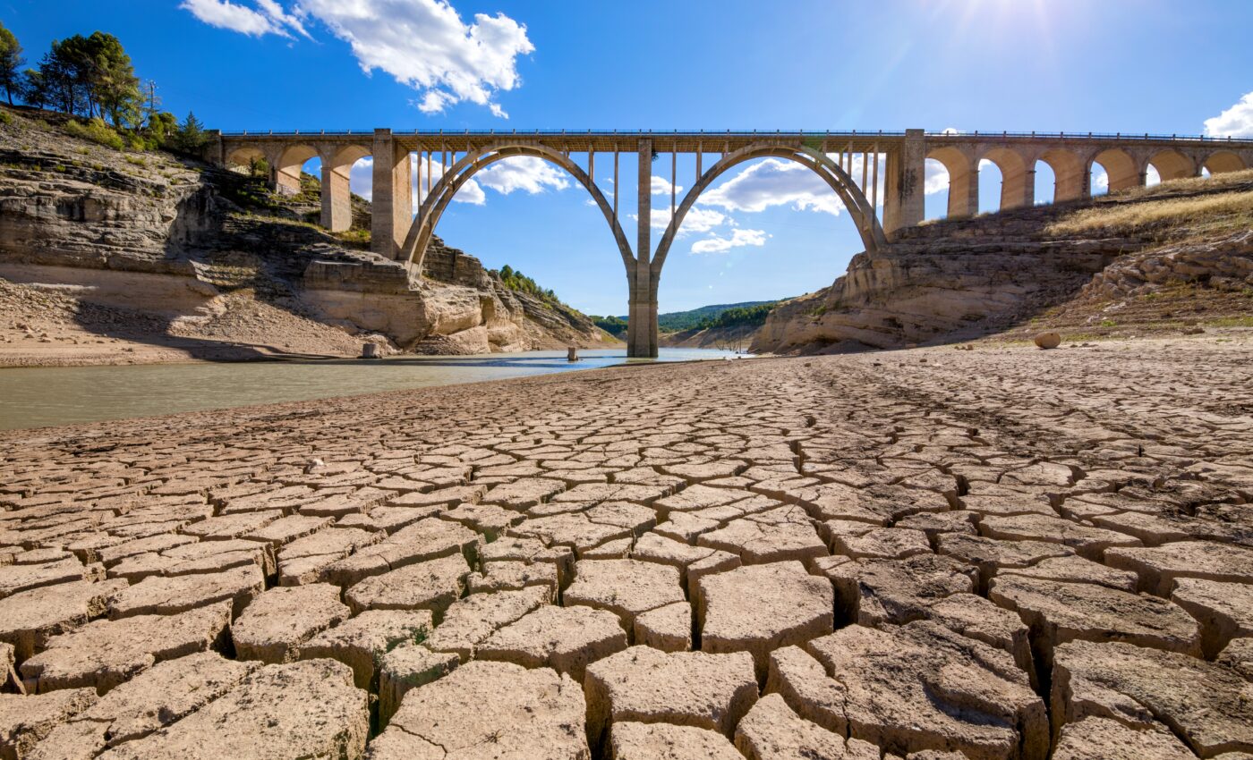 Droughts are disrupting Earth’s largest carbon storage source