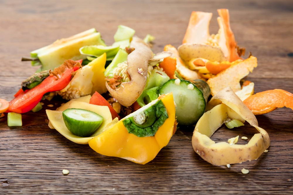 Scientists harness fruit waste to extract energy