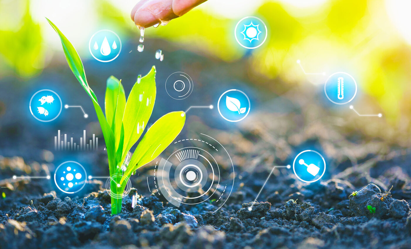 Plant leaves send signals to their roots on dry days telling them to keep digging deeper for water