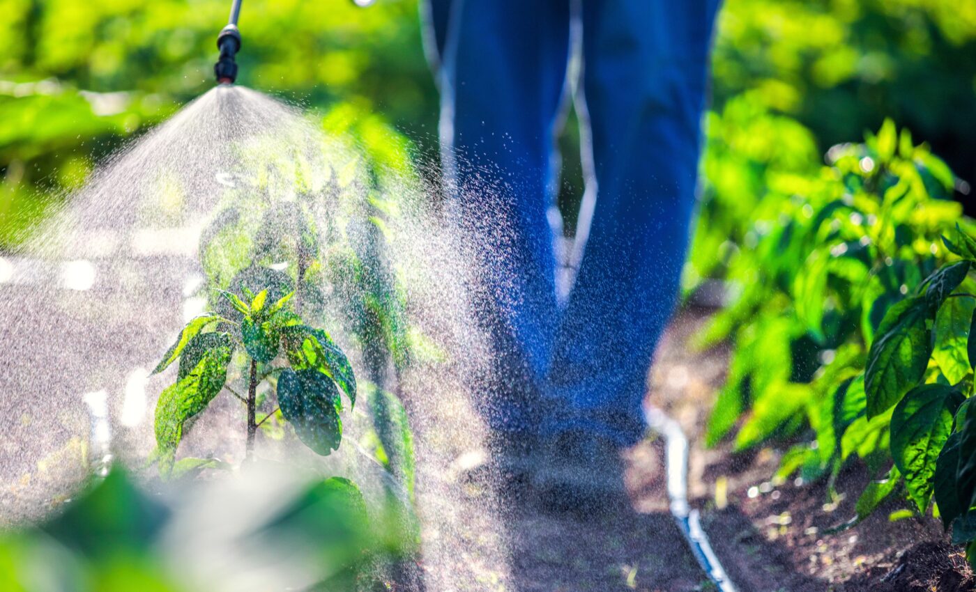 Pesticides travel far and wide, endangering aquatic ecosystems