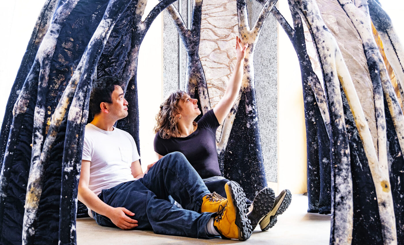 Mycocrete: New material made of fungi hopes to replace concrete in construction projects