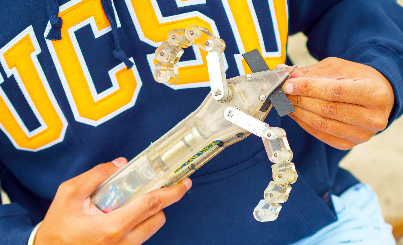 Scientists invent robot that can swim under sand like sea turtle hatchlings