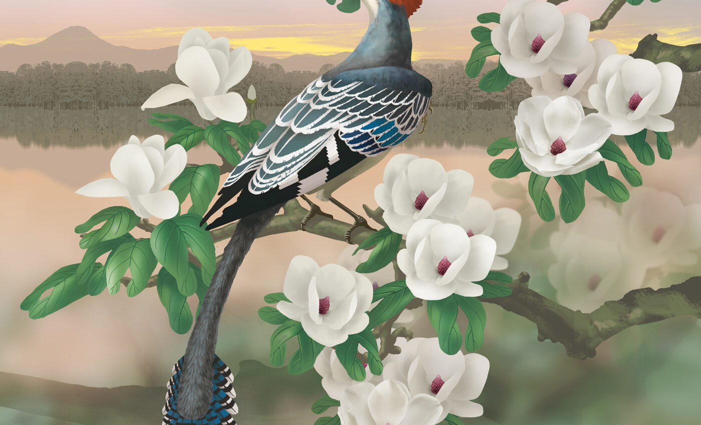 Prehistoric birds switched from dinosaur diets to eating leaves