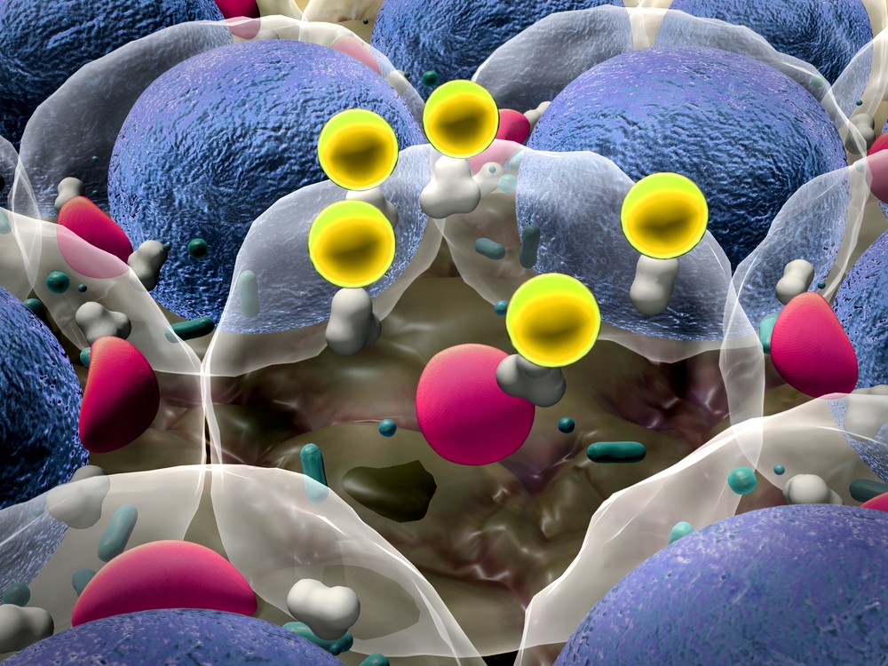 Tackling fat with food? Tropical plant in China has anti-obesity properties