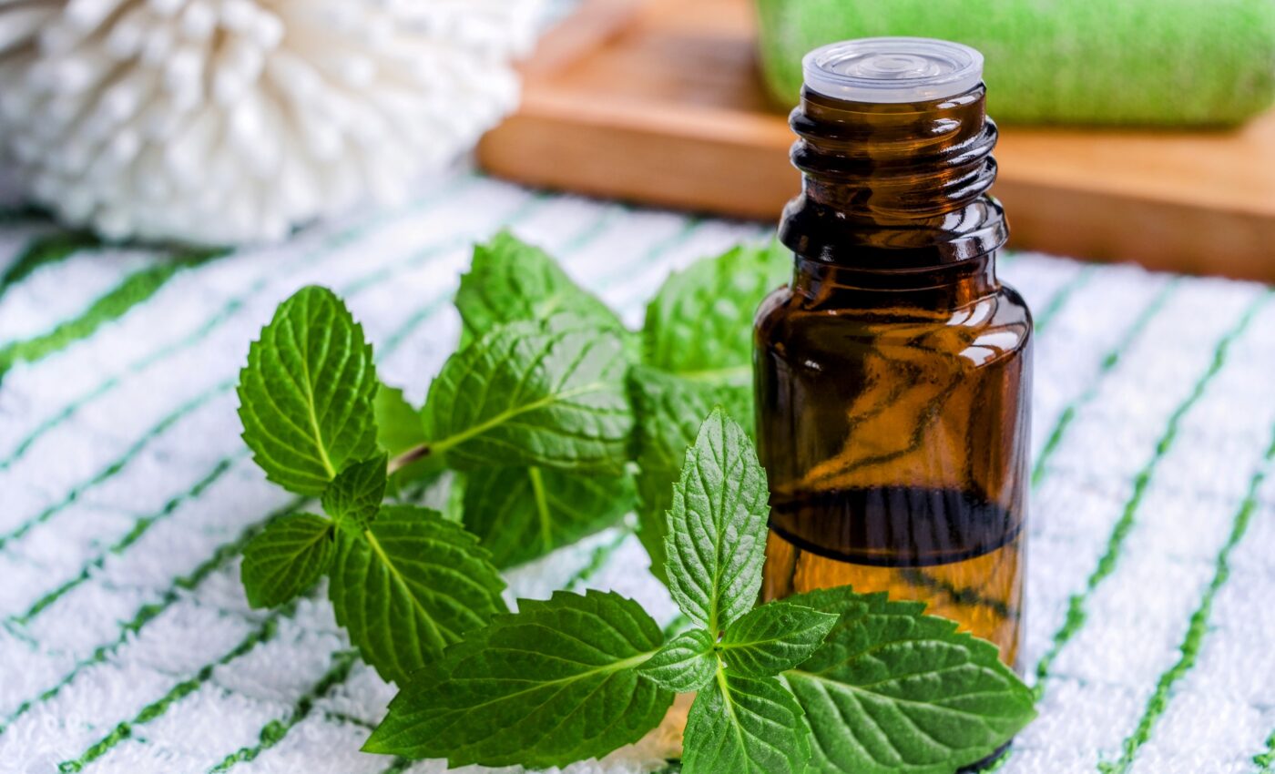 Peppermint oil is shown to reduce pain, improve sleep, and enhance memory